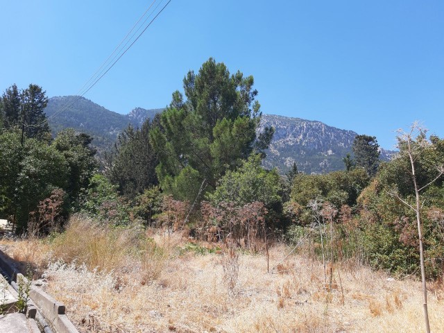 In Kyrenia LAPTA, gleichwertig, 2 Häuser, 2175 Schuhe (871 M2), mit Blick auf ein Tal im Westen, mit WASSERMILBE, Natur -, Berg-und Meerblick Grundstück ** 