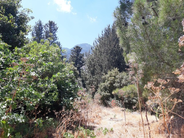 In Kyrenia LAPTA, gleichwertig, 2 Häuser, 2175 Schuhe (871 M2), mit Blick auf ein Tal im Westen, mit WASSERMILBE, Natur -, Berg-und Meerblick Grundstück ** 