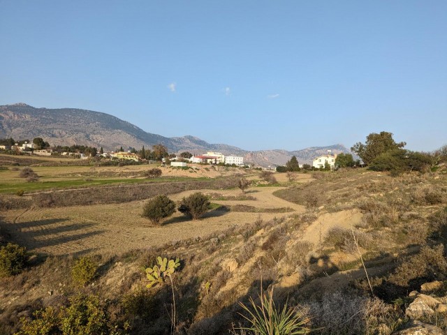 IN DKMEN, JUST SOUTH OF THE VILLAGE CENTER, IN A VERY GOOD LOCATION, 58,000 STG. PER ACRE, 10 ACRES IN SIZE, OPEN TO DEVELOPMENT, WITH ROAD, WATER AND ELECTRICITY, SUITABLE FOR ALL KINDS OF CONSTRUCTION SUCH AS HOUSING, TRADE, OFFICE, TOURISM