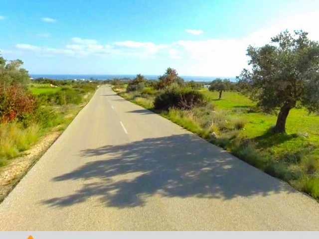5 Acres of Olive Groves for Sale in Kumyalı with All Infrastructure and Highway Zero Sea View 