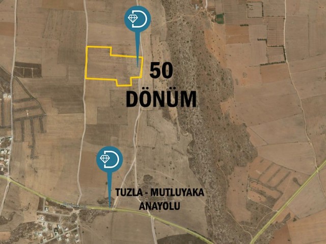 Mağusa, Tuzla- Mutluyaka Bölgesinde Satılık 50 Dönüm Arazi