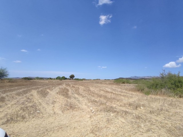 PLOTS OF Decked LAND FOR SALE IN ALAYKOY ** 