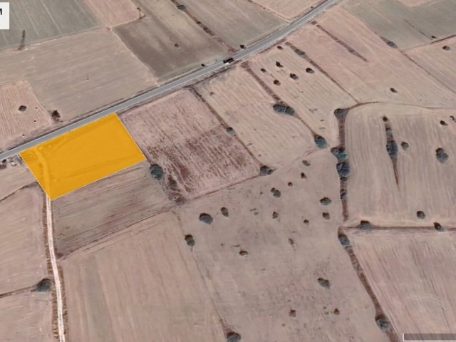 Land For Sale in Bafra, Iskele