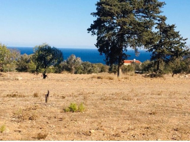 Land For Sale in Sipahi, Iskele