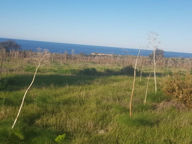 Land For Sale in Kaplıca, Iskele