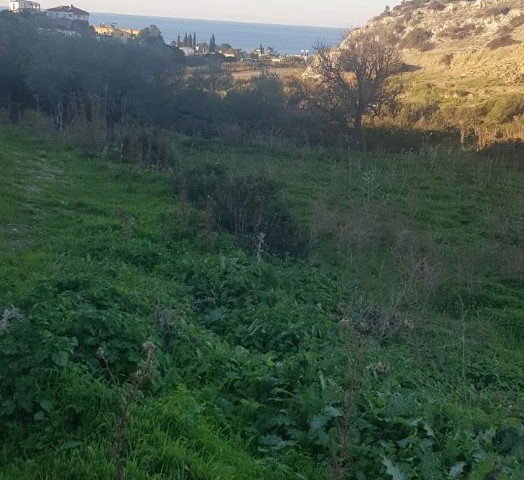 Land For Sale in Kaplıca, Iskele