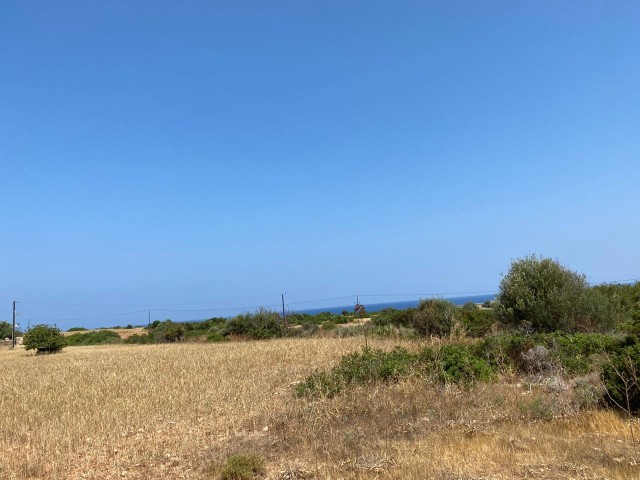 2.5 Acres of Land for Sale in Yenierenkoy! ** 