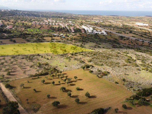10 Acres of 3 Evlek Land for Sale in Sipahi! ** 