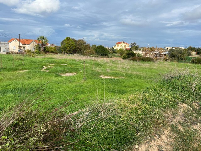 2 Acres of Land for Sale in the Village in Yeni Erenköy 