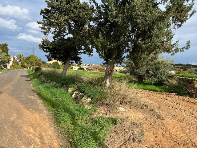 2 Acres of Land for Sale in the Village in Yeni Erenköy 
