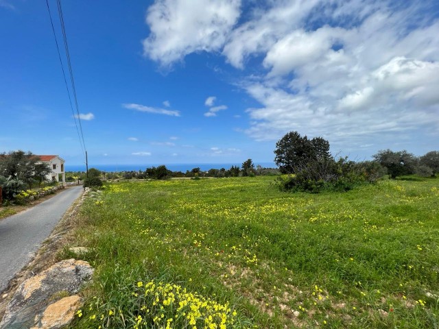 SEA VIEW7 ACRES OF LAND WITH 3 HOUSES FOR SALE IN ISKELE-SIPAHI 