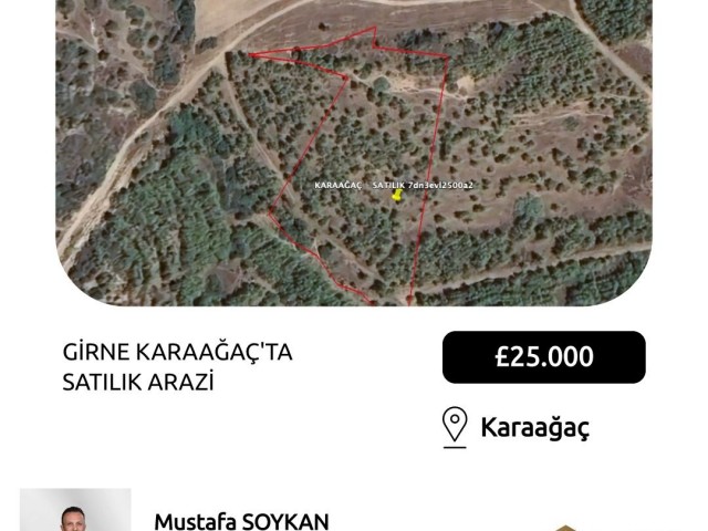 زمین برای فروش in Karaağaç, گیرنه