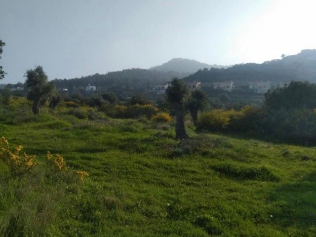 Grundstück zum Verkauf in Kyrenia/Felsen auch nicht schließen Meerblick ** 