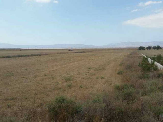 FAMAGUSTA NICOSIA DÖRTYOL AS WELL AS 20 DECARES OF LAND FOR SALE ** 