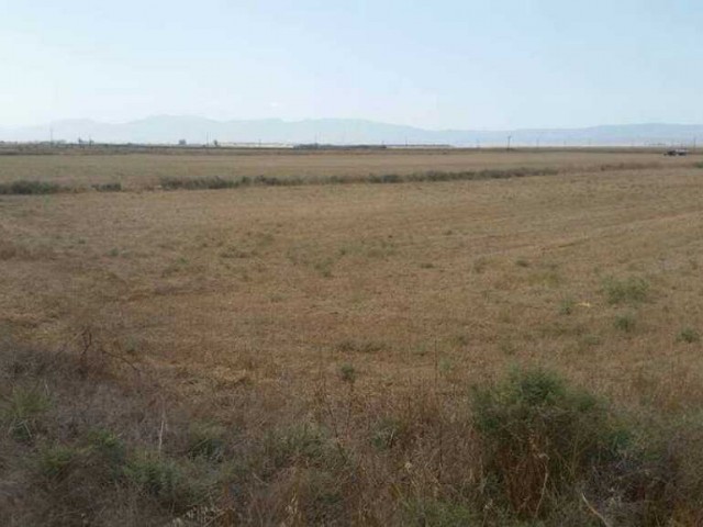 FAMAGUSTA NICOSIA DÖRTYOL AS WELL AS 20 DECARES OF LAND FOR SALE ** 