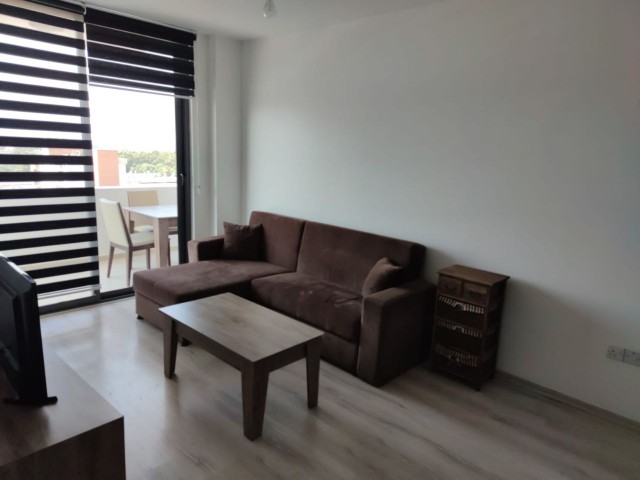 1 + 1 APARTMENT FOR RENT WITH SHARED USE POOL VERY CLOSE TO EMU ** 
