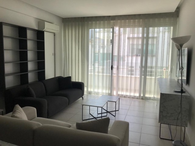 2+1 APARTMENT FOR RENT IN THE CENTER OF GUINEA