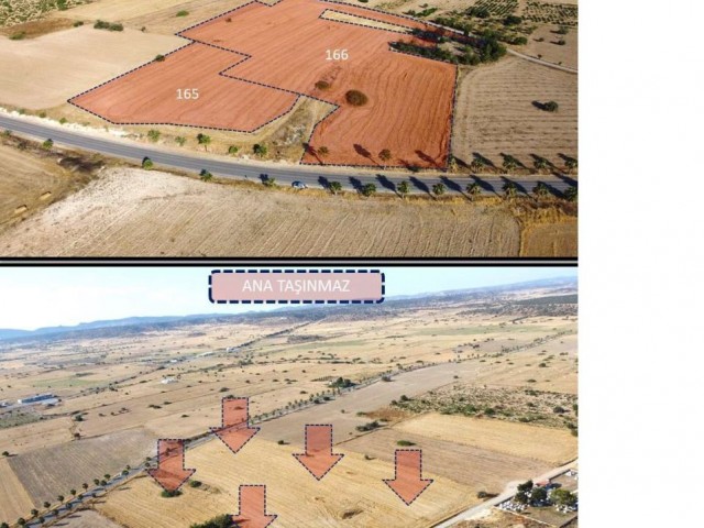 Parzellierung auf der Bafra Beach Autobahn erlaubt zum Verkauf insgesamt 23 Hektar 2 Stück Feld ** 