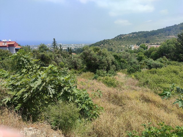 Land for sale in Lapta with its magnificent uninterrupted sea view