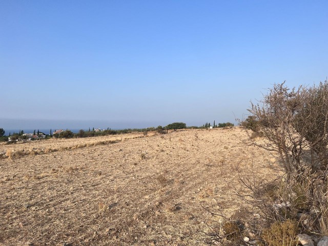 Girne Alsancak'ta villalık veya site yapımına uygun arazi. 05338403555