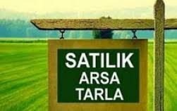 Girne Karşıyaka'da 3 dönüm 3 evlek Türk Koçan yatırımlık tarla. İçerisinde 30 adet zeytin ağacı bulu