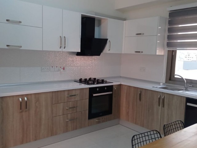 LARGE AND SPACIOUS PENTHOUSE FOR RENT IN A PERFECT LOCATION IN NEWŞEHİR, WHERE YOU CAN SEE LEFKOŞA FROM EVERY DIRECTION ** 