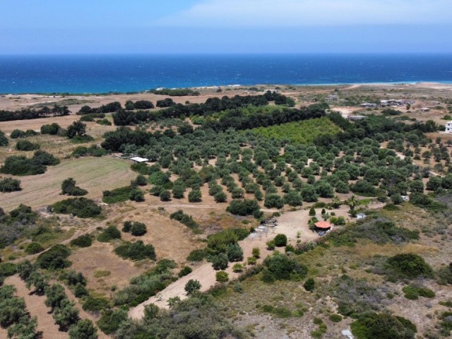 1 acre of land for sale in Karşıyaka