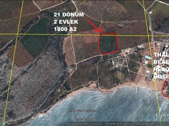 21 ACRES OF 2 HOUSES FOR SALE WITHIN WALKING DISTANCE OF THE SEA IN THE BAFRA REGION ** 