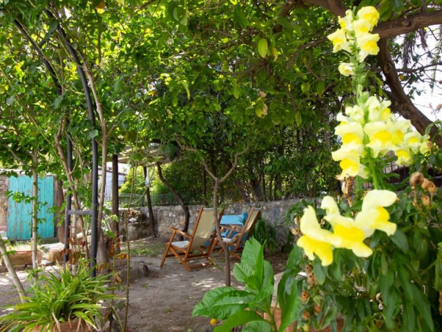 Bellapais'te 2+1 Otantik Kıbrıs evi + Bakımlı bahçe ref 1391