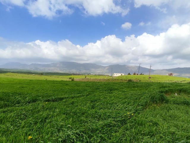 An impressive plot of land located in Boğaz area 11206m2