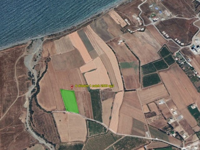 6 Acres 1 House 2500 Ay2 Field for Sale in Güzelyurt Gaziveren