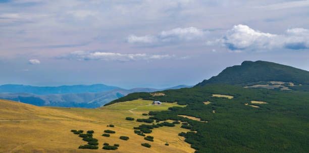 14 acres of land for sale in Tatlısu