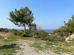 Zu verkaufen 35 Acres 250 Meter vom Meer entfernt,Kyrenia, Region Esentepe