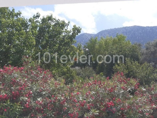 1 BEDROMM BRAND NEW APARTMENT WITH EXCELLENT MOUNTAIN VIEWS