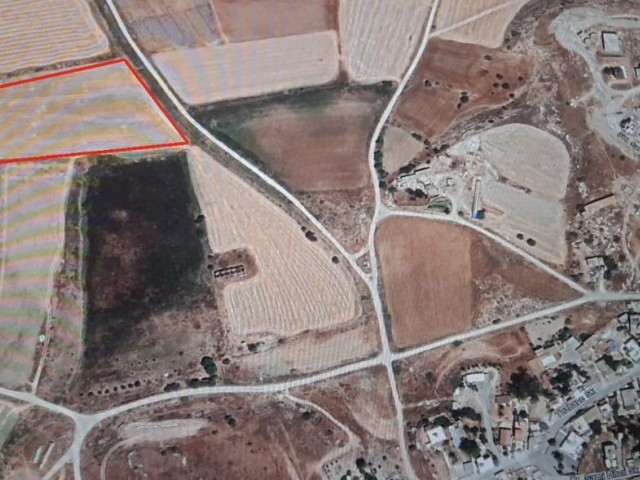 Land For Sale in İskele Merkez, Iskele