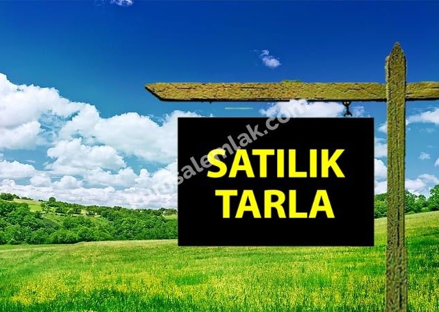 4 Acres 2100 Sqm Field for Sale in Güzelyurt Gaziveren ** 