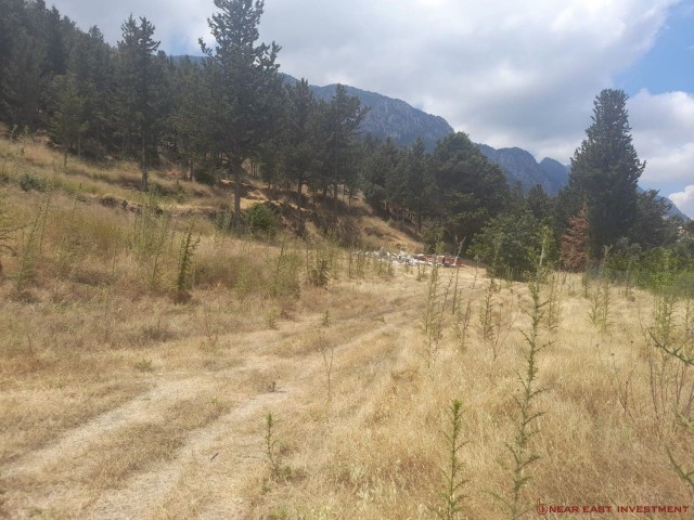 Land for sale in Lapta area