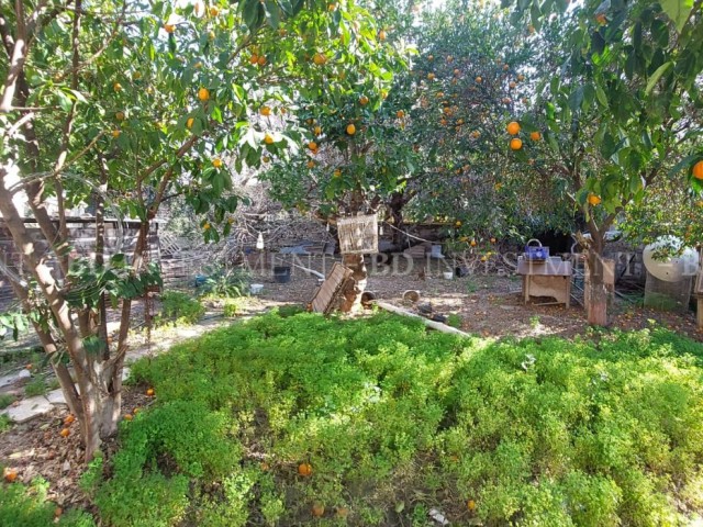Отдельно стоящий дом с большим садом в центре Кирении