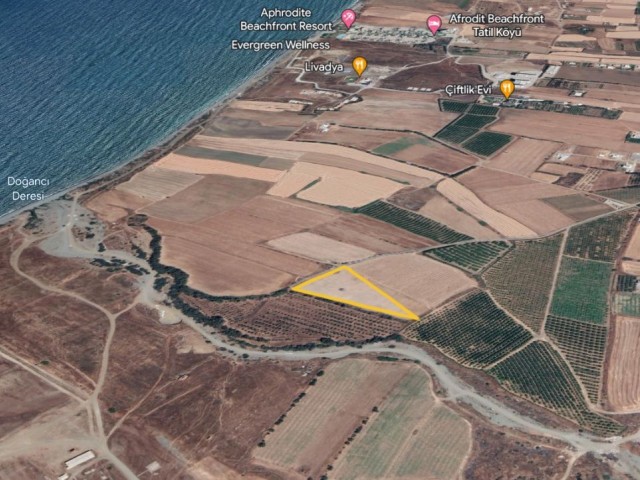Land 400 Meters to the Sea