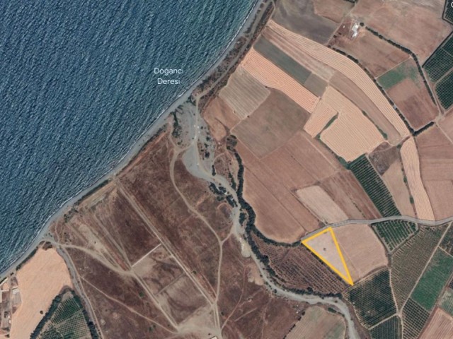 Land 400 Meters to the Sea