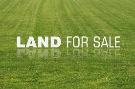 Bafra Land 18 Donum, Opportunity to Develop