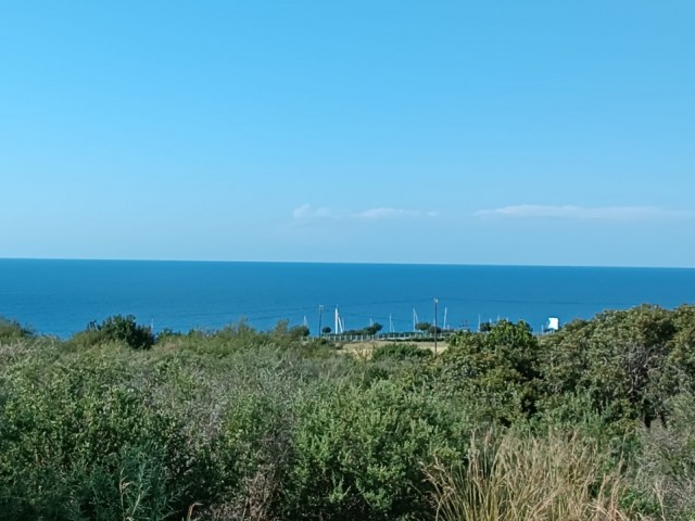 6 DECORATIONS OF LAND FOR SALE IN THE VILLAGE OF KARPAZ SİPAHİ, THERE IS AN OFFICIAL ROAD WITH A VERY BEAUTIFUL SEA VIEW, AGRICULTURAL ZONE, EMAIL DEBT PAID READY FOR SALE