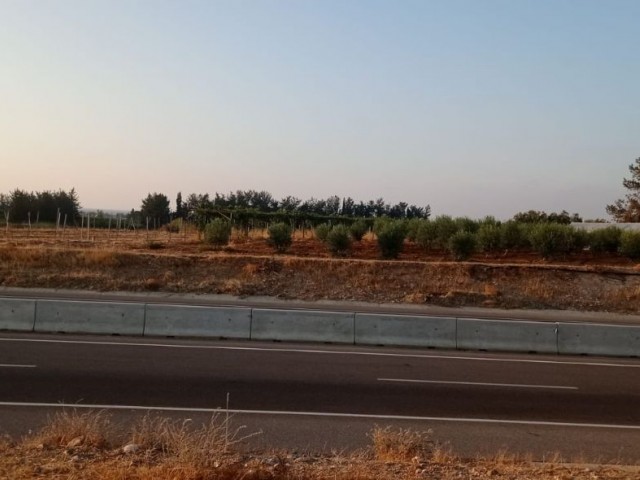 Land For Sale in Aydınköy, Guzelyurt