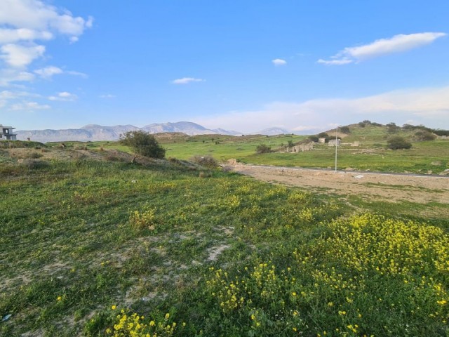 Türkisch beschichtete Grundstücke zu verkaufen in Zypern Kyrenia Bogazda... ** 