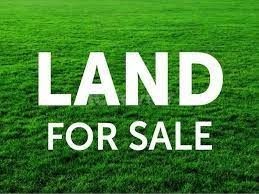 5 donums of land for sale