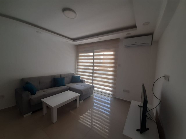 Golden residence 2 + 1 rent house 6 months payment ** 