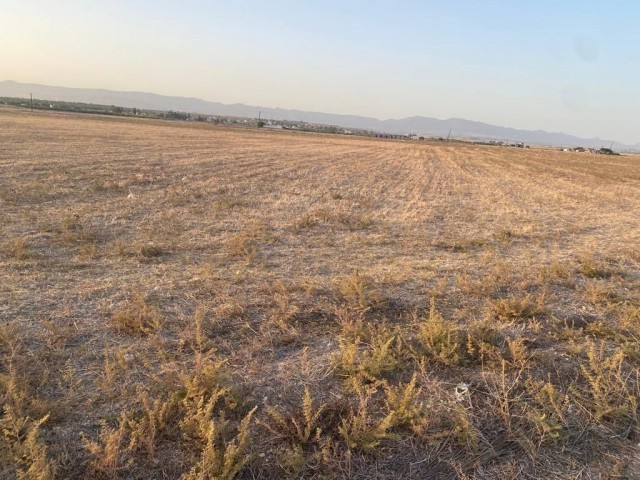 INVESTMENT OPPORTUNITY FOR LAND, BUYING OPPORTUNITY THAT WILL MAKE A PREMIUM IN A SHORT TIME, KORKUTELI, DORTYOL 