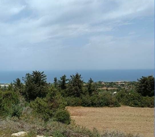 LAND INVESTMENT OPPORTUNITY, OPEN TO LANDING, SEA VIEW, PURCHASE OPPORTUNITY THAT WILL BREAK IN A SHORT TIME,