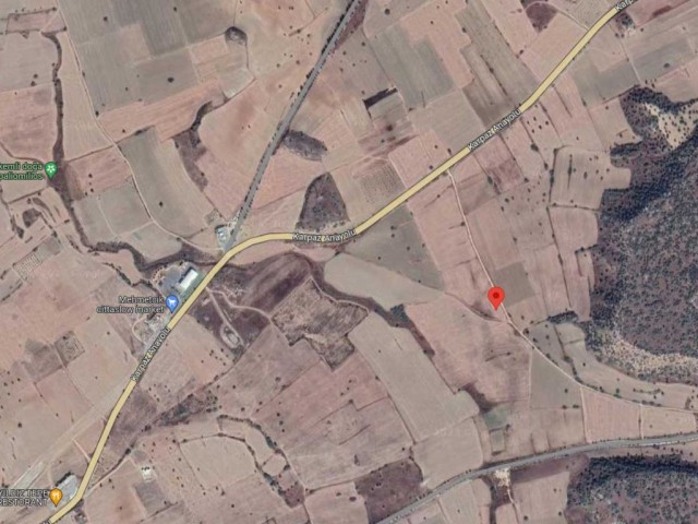 3 Decares of Land Close to Karpaz Main Road in Iskele Bafra