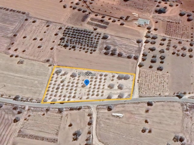 5 DONUMS (6.690 m2) LAND WITH BUILDING PERMISSION FOR SALE